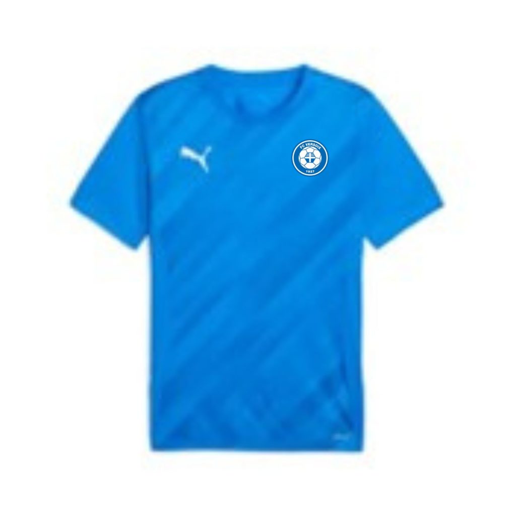Modèle Junior - Teamgoal Graphic Jersey - Blue Electric